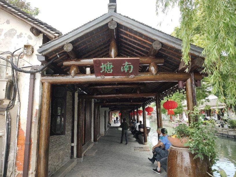 寻找萌小老虎